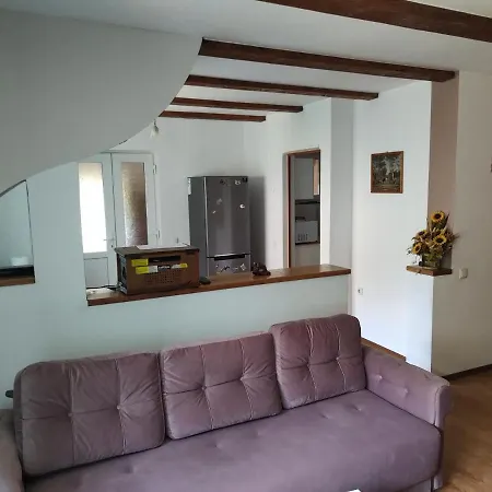 Vicky House Apartment Fagaras Exterior photo