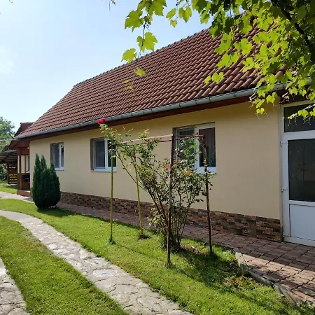 Vicky House Apartment Fagaras Exterior photo