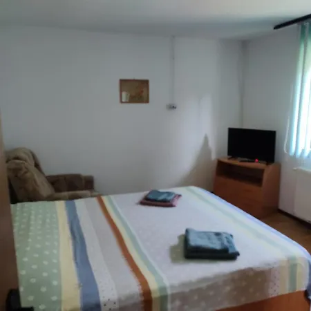 Vicky House Apartment Fagaras Exterior photo