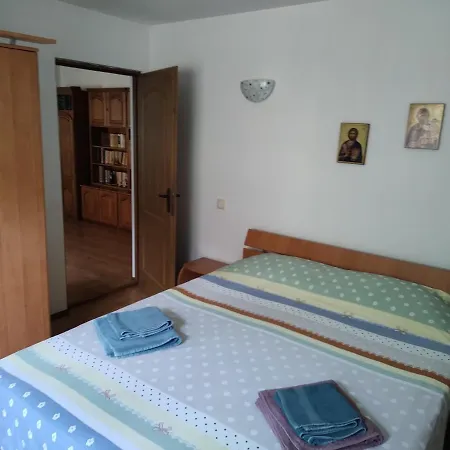 Vicky House Apartment Fagaras Exterior photo
