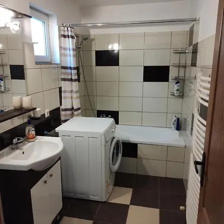 Vicky House Apartment Fagaras Exterior photo